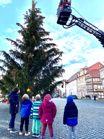 2020 Weihnachtsbäume2