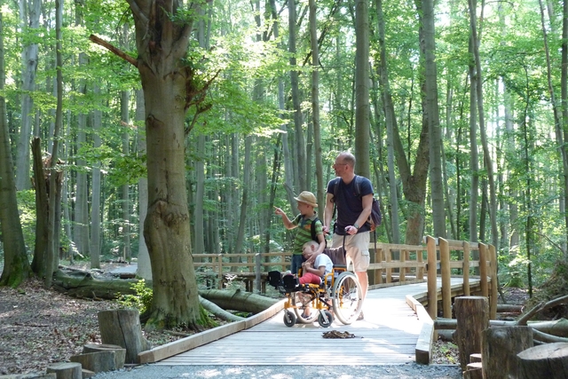 Zertifikat Barrierefreiheit geprueft