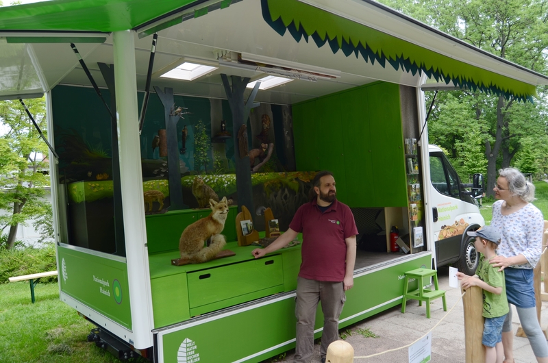 06 09 Urwaldmobil BUGA