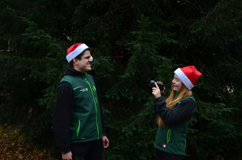 11 30 Urwald Adventskalender