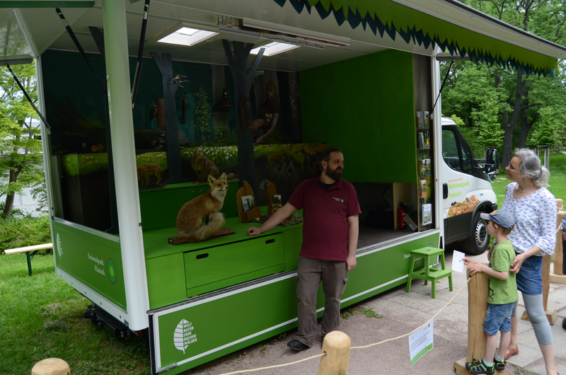 12 15 Urwaldmobil