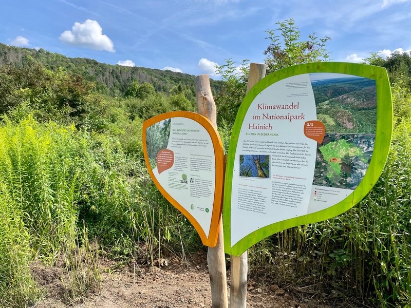 Klimawandel im Hainich