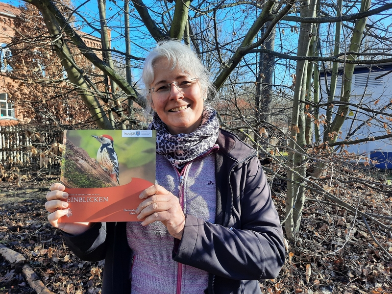Specht Nationalpark Hainich